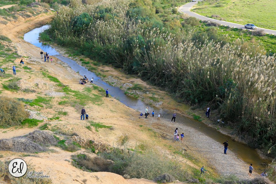 צילום אדי ישראל