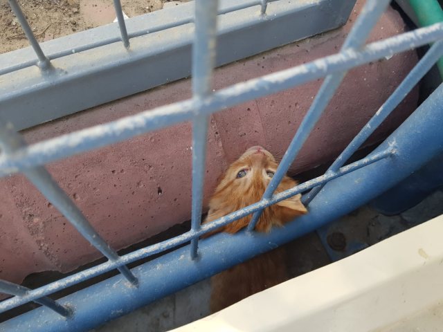 דוברות כב״ה