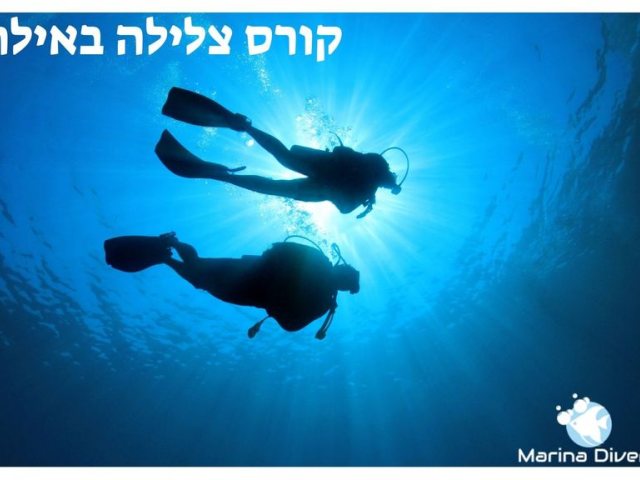 קרדיט התמונה: CANVA