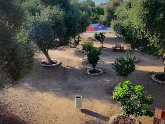 דוברות העירייה