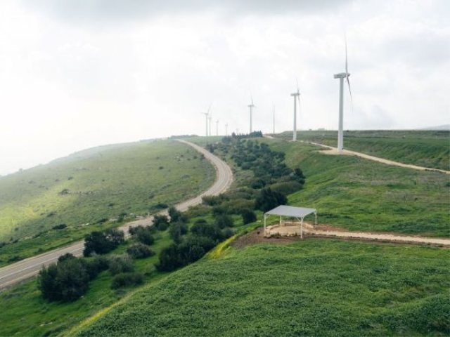 צילום:  עידן ארד