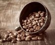 בורשטיין קפה מספרים מה חשוב לבדוק לפני בחירת פולי קפה בשבילכם