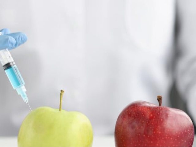 קרדיט תמונה FREEPIK