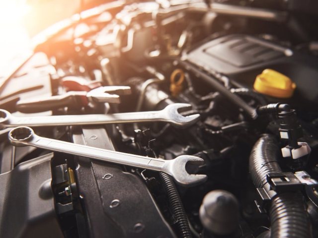 קרדיט לתמונות FREEPIK