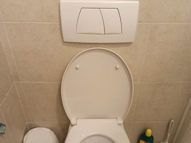 קרדיט תמונה יח"צ 