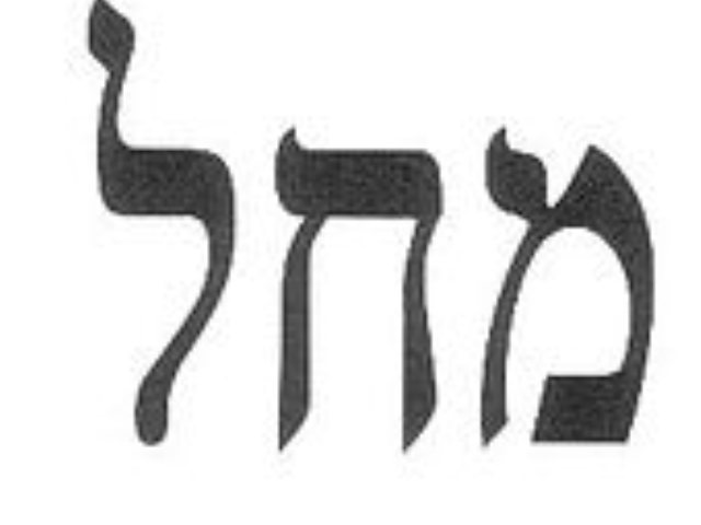 הליכוד