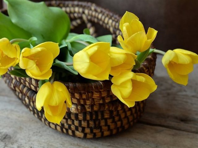 קרדיט תמונה PIXABAY