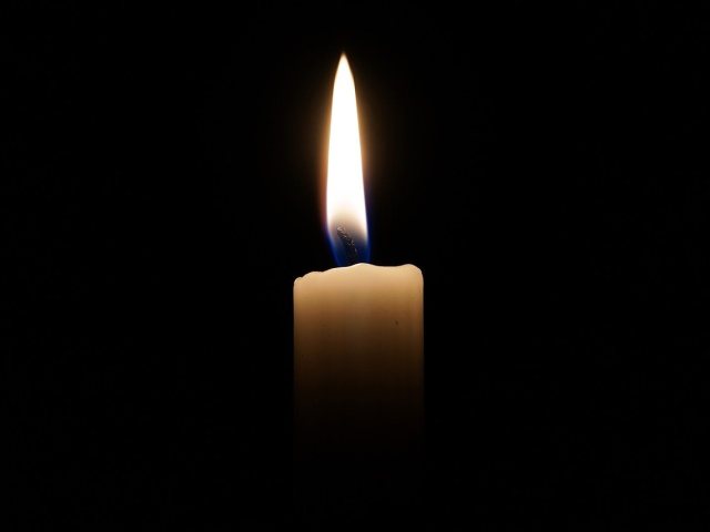 צילום pixabay
