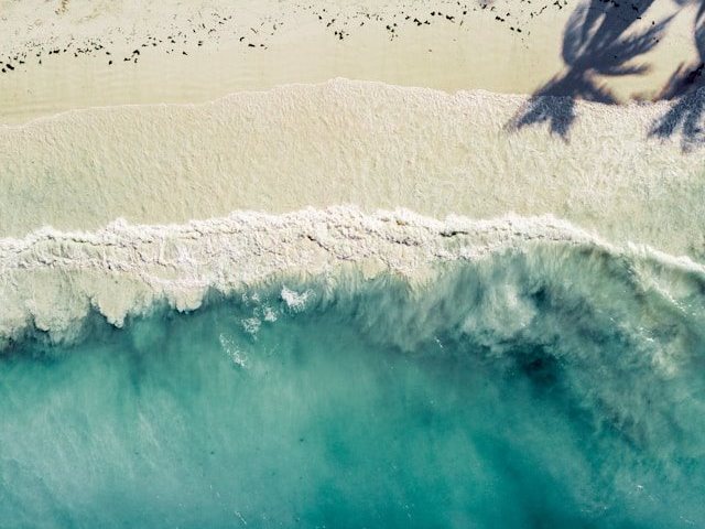 -Photo by Andre Abreu on Unsplash