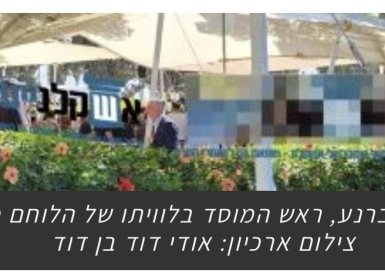 אוודי דוד בן דוד 