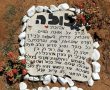 יש ריח רע בבית ולא מצליחים למצוא את המקור? ייתכן שמסתתר שם פגר של בעל חיים