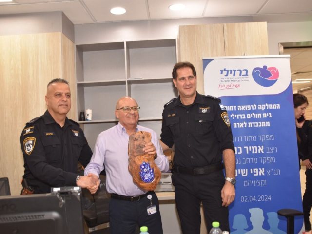 דוברות ברזילי