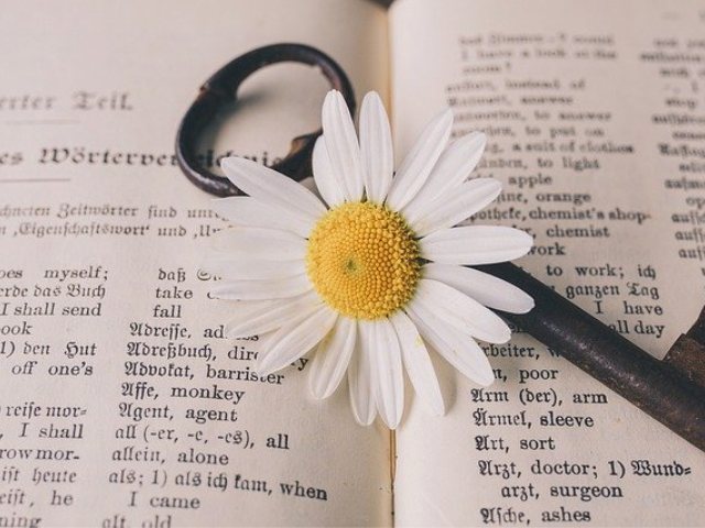 קרדיט לתמונה: pixabay