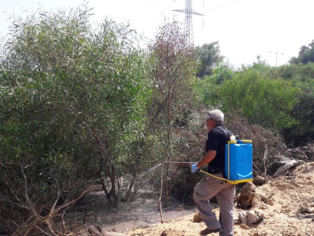דוברות העירייה 