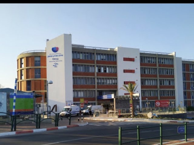 דוברות ברזילי 