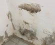 "גם כשהקירות נראים לבנים ונקיים, המים הכלואים מתחת לרצפה ממשיכים להרוס את הבית שלכם"