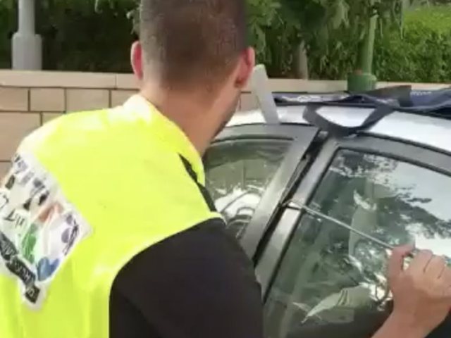 דוברות ידידים