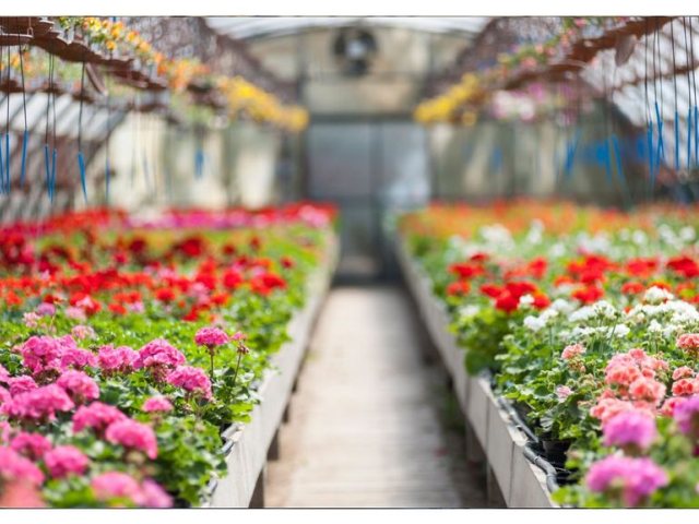 קרדיט התמונה: CANVA