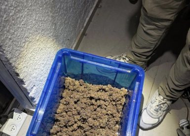 דוברות המשטרה