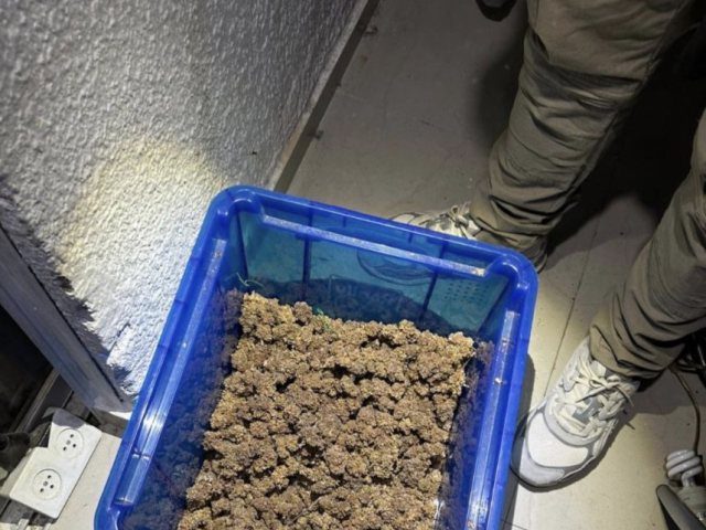דוברות המשטרה