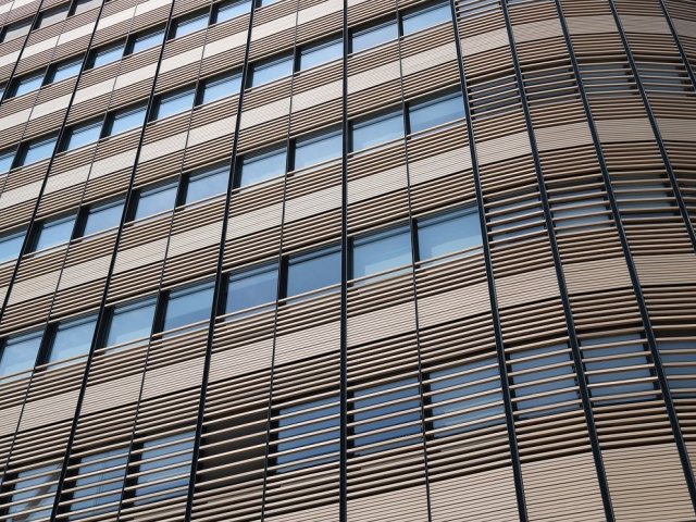 צילום : pixabay