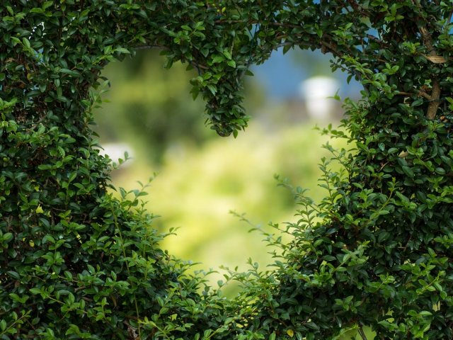 pixabay