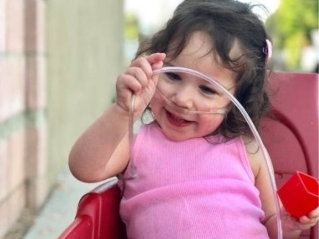 צילום: אלבום פרטי