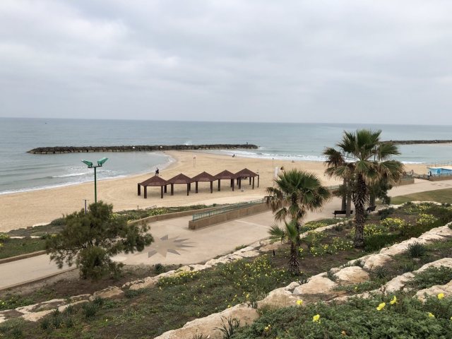 אשקלונט