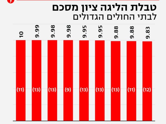 דוברות ברזילי