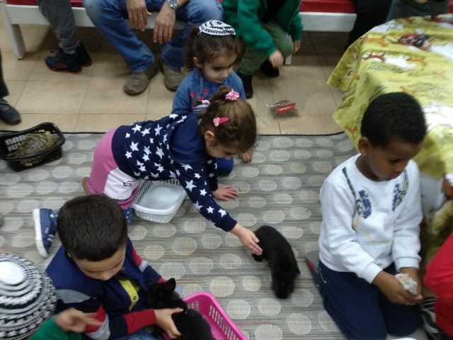 יח״צ