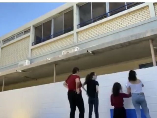 אורט אפרידר