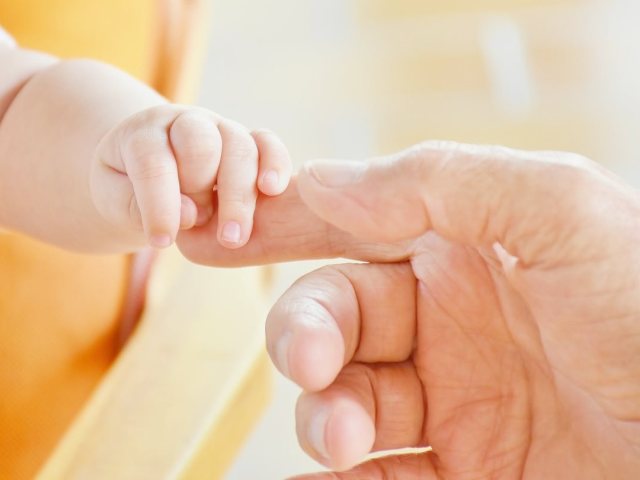 קרדיט תמונה: pexels 