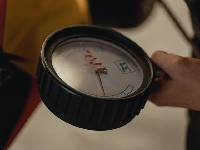 קרדיט תמונה PEXELS