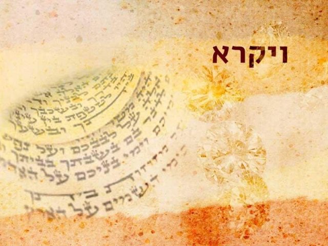 פרשת ויקרא