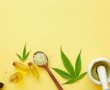 אלו לא מוצרי קנאביס אלו מוצרי CBD שאתם חייבים להכיר