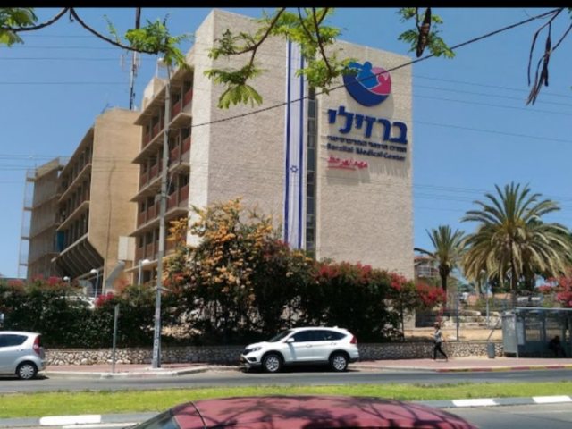דוברות ברזילי