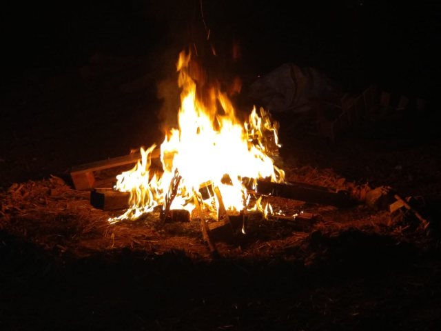 אש מפוקחת. צילמה ענת מנדל