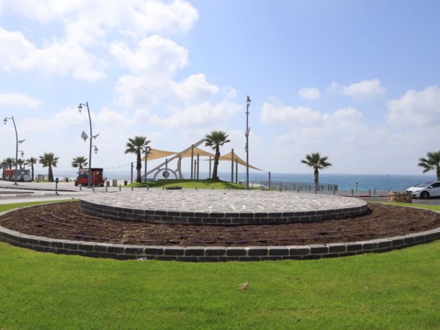 צילום: אלדד עובדיה
