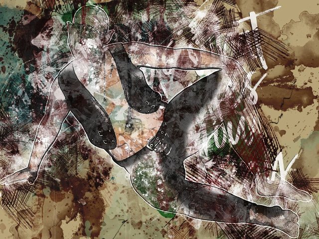 צילום : pixabay