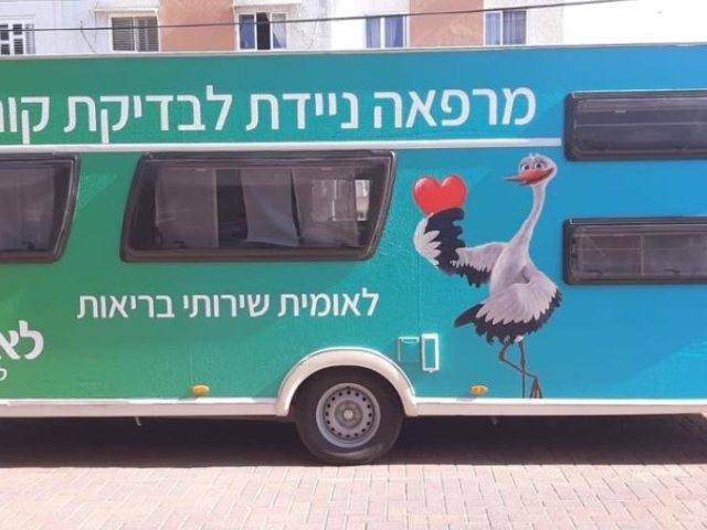 דוברות לאומית