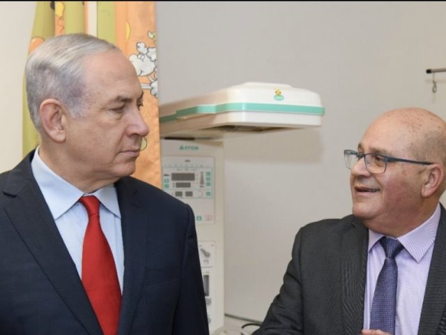 דוברות ברזילי