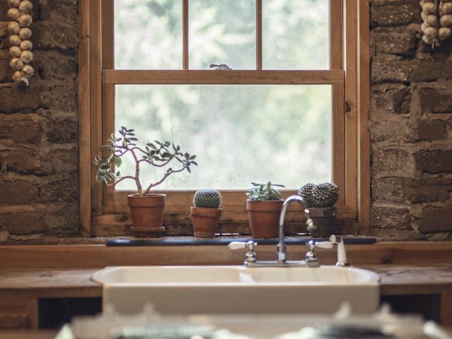 צילום : pixabay