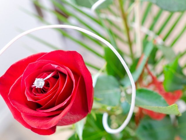 Pixabay
