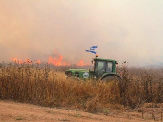 צילום: רפי בביאן