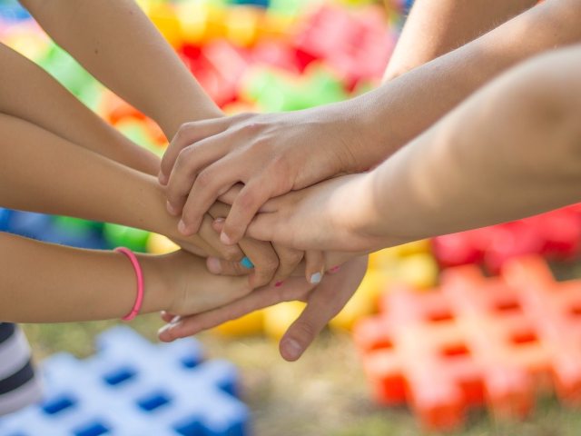 צילום : pixabay
