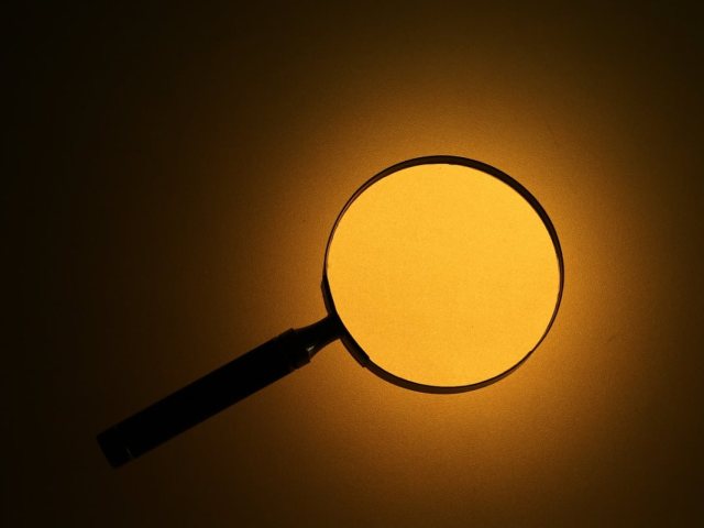 קרדיט תמונה PIXABAY